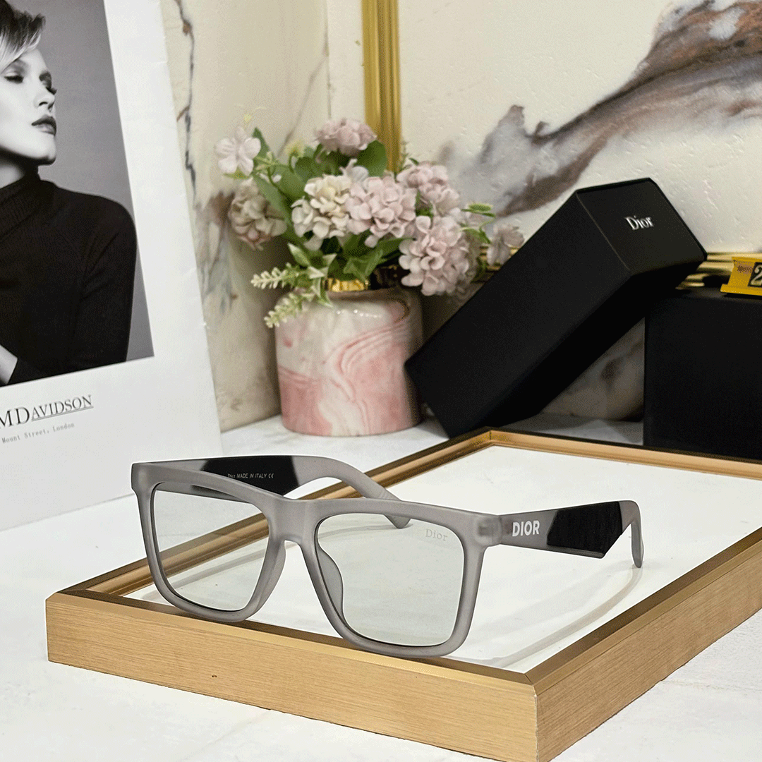 DR Luxury PREMIUM 2328 Wayfarers