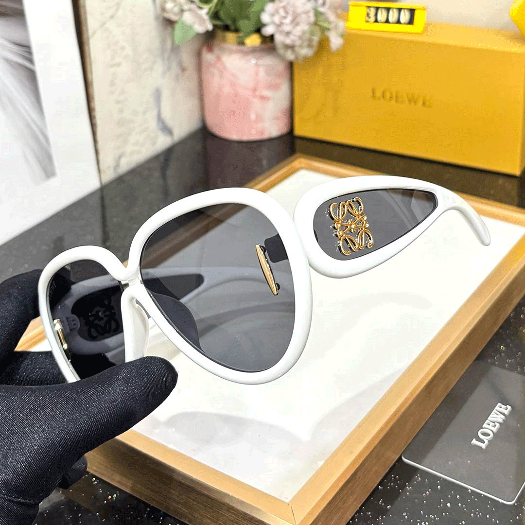 LOEWE Premium Luxury Women’s 3000 Wayfarers