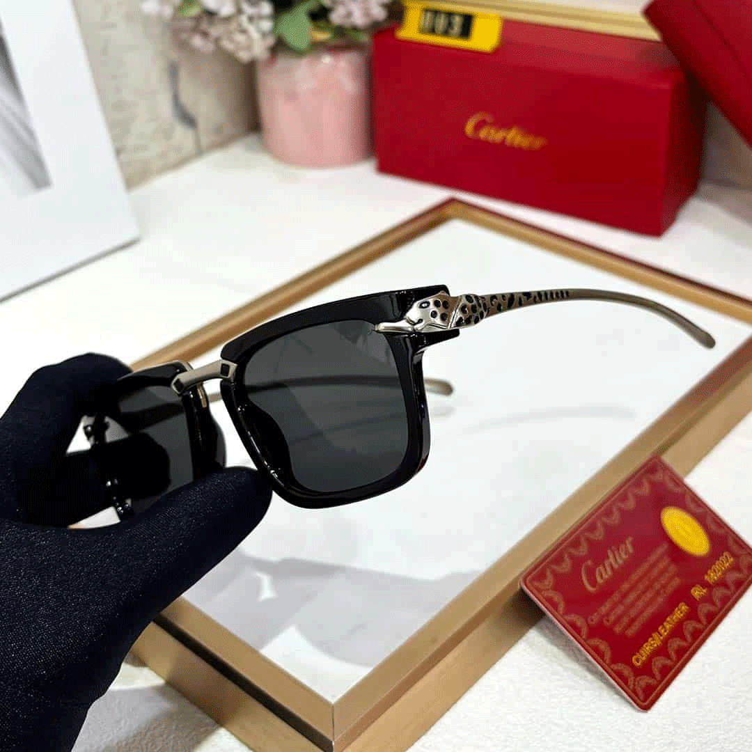CRT Premium Luxury 003 Wayfarers