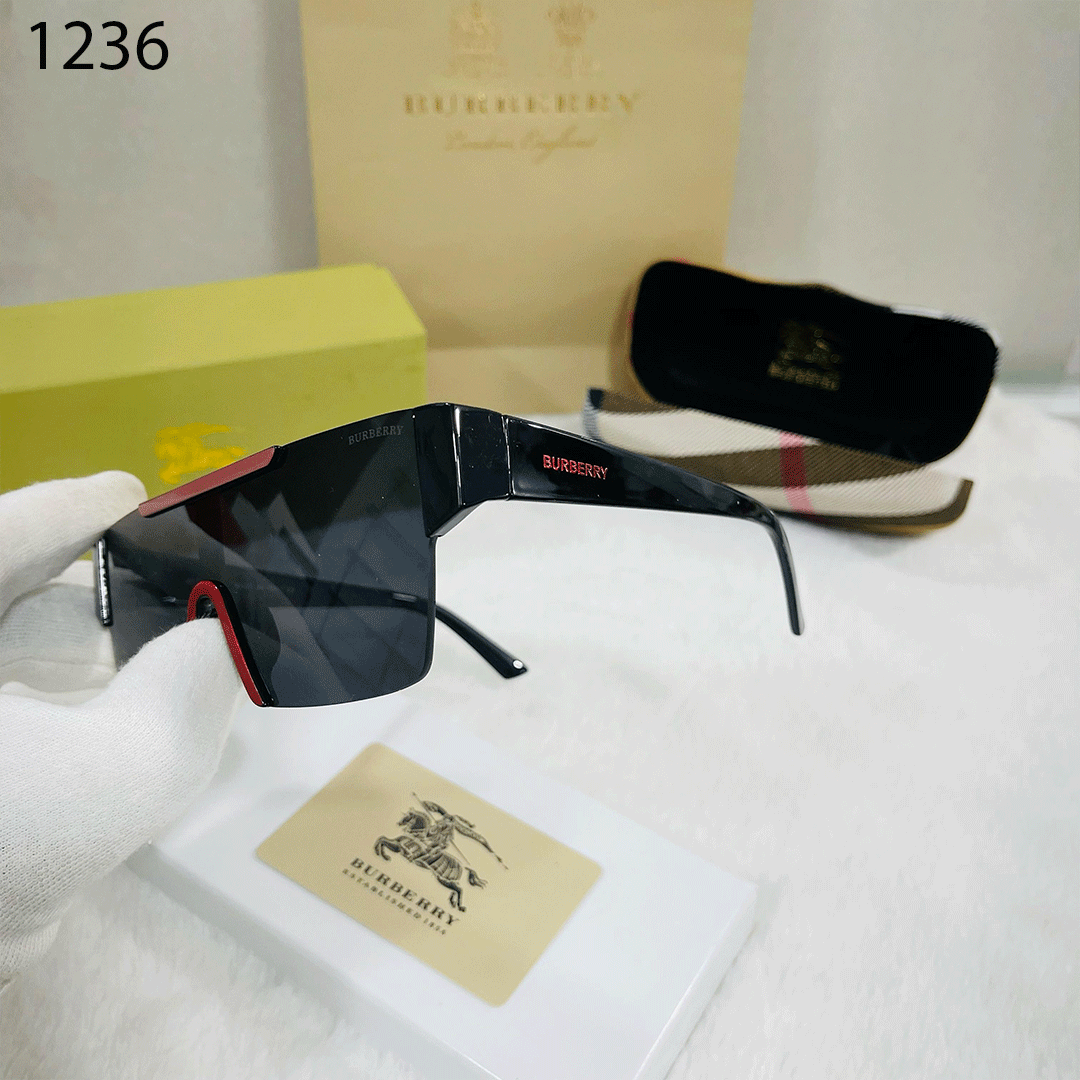 BB Premium Luxe 1236 Wayfarers