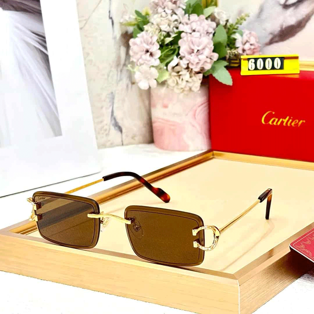 CRT Premium Luxury 6000 Aviators