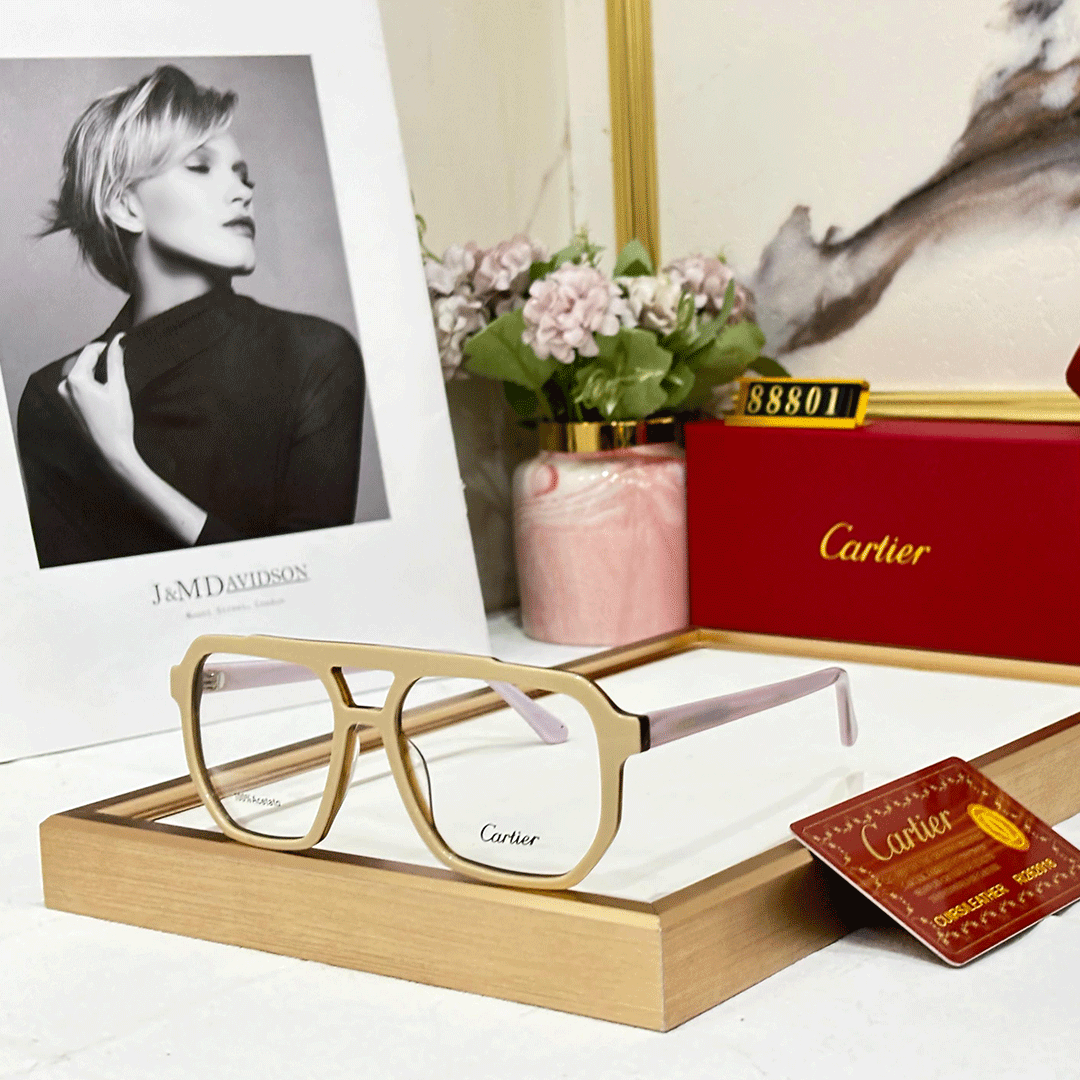 CRT Premium Luxury Unisex 88801 Wayfarers