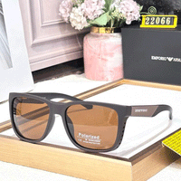 EMPORIO ARMANI Luxury 22066 Polarized Wayfarers