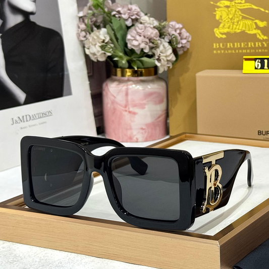BB Premium Luxury 6176 WAYFARERS